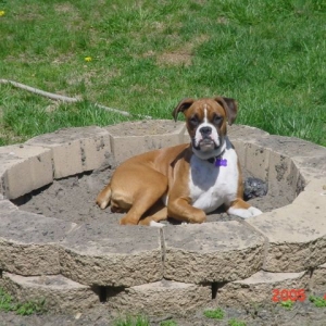 riley's fire pit