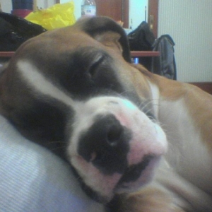 sleeping on my chest