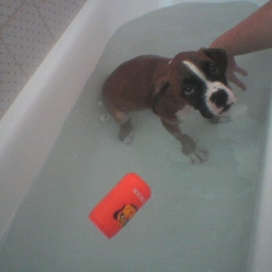 bath time