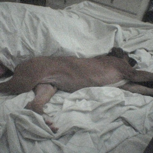 i love this bed!!