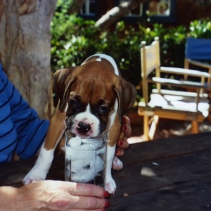 Lukasbabyat7weeks