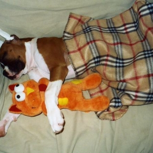 Lukas_and_Garfield