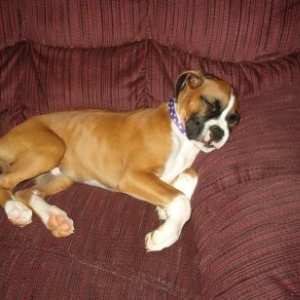Sleeping