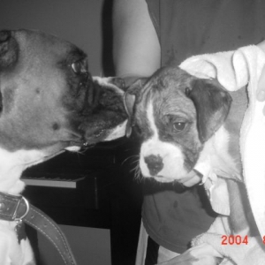 my favorite picture of brutus and riley