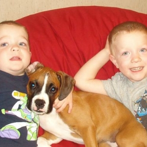 Stars boys