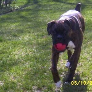 Kirra-ball