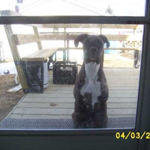 Mom, can I come it now?