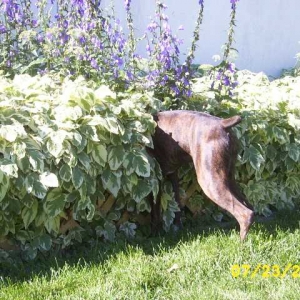 Can you see me?