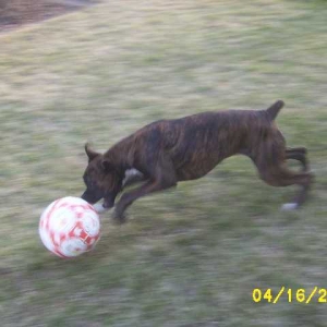 Kirra-soccer
