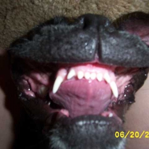 Kirra-upsidedown