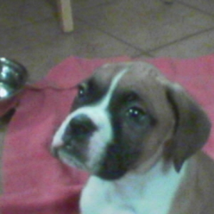 My Little Baby