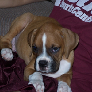 Sleepy Samson