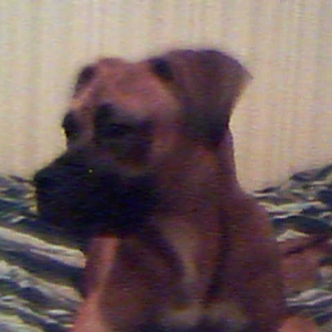 Kissable Rayna