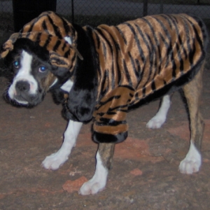 I just love my costume. NOT!