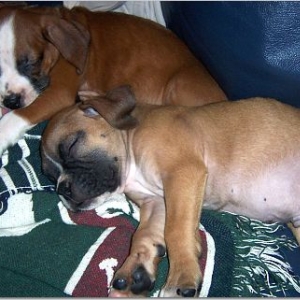 Naptime