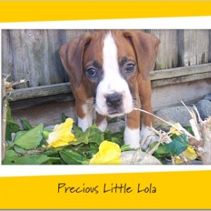 Lola - First day home