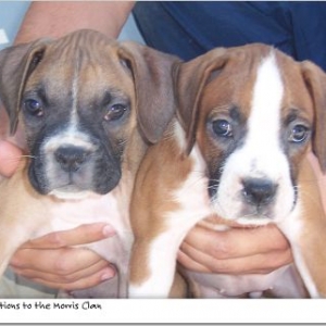 Two peas...