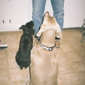 Rocco and Maddie