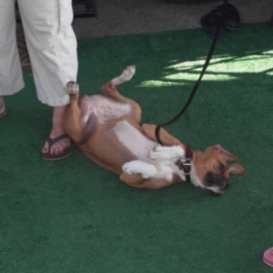 Chula on her Back