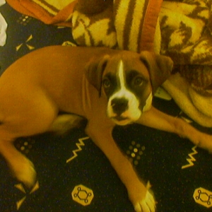 3months old already