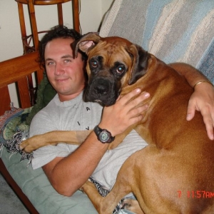 The ultimate lap dog!