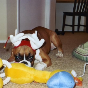 Christmas 2004