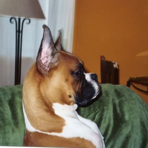 Lukas Profile