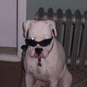 Cool Daisy