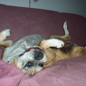 Xena Working It For The Camera
