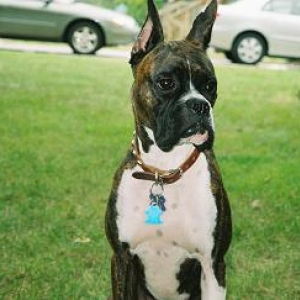 HandsomeBeau