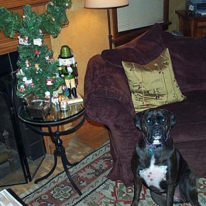 Mia Xmas 2003