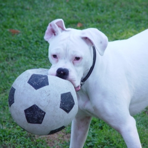 play time