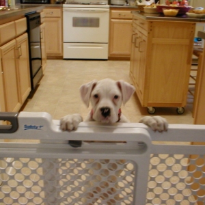 let me out