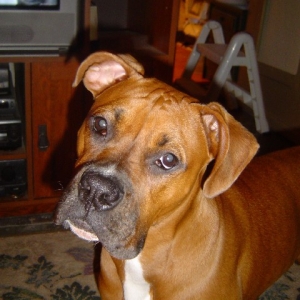 Serious face
