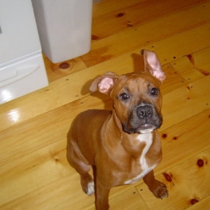 Madison in kitchen