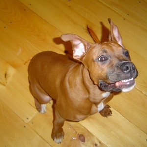 Funny face