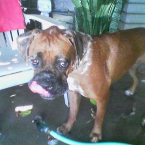 Bath Time