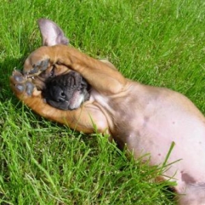Greta playing hide & seek