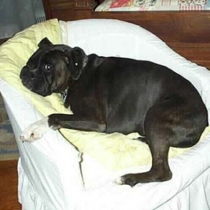 THIS is MY chair!
