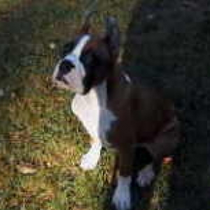 sitting_on_the_grass