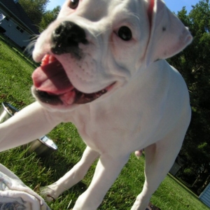 Tyson outside