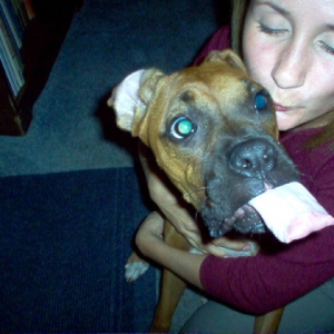 Tongue on Auto-Pilot!