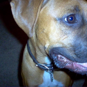 Smile!