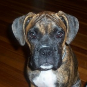 Charlie