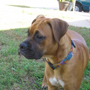 Madi at 5 months.