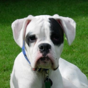 Finn age 6 months