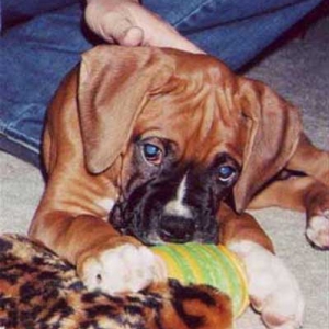 Dugan
