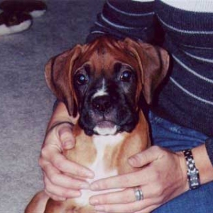 Dugan