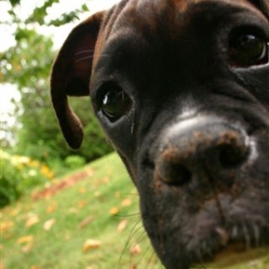 Evidence that Kramer is, in fact, digging that mysterious hole in the yard.