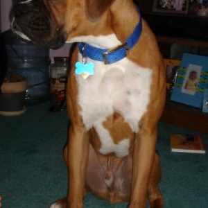 Rocky's good side